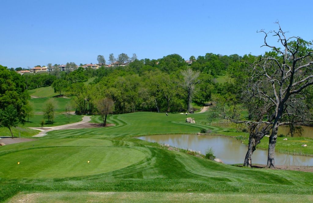 Hole 10 Greens 