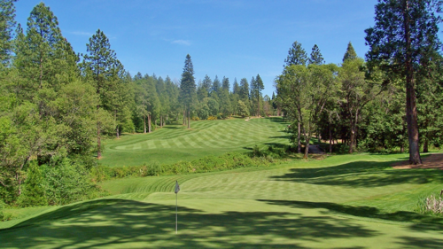 Lush course greens with blue skies above