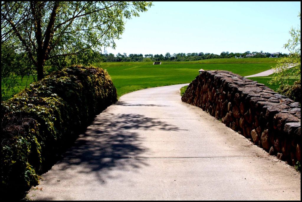 Cart path at course 