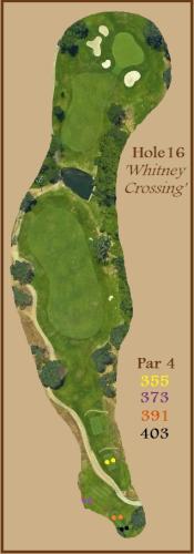 Hole 16 Graphic