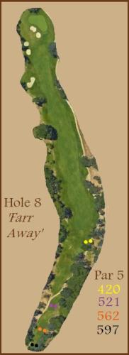 Hole 8 graphic
