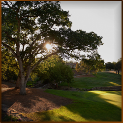 Course greens