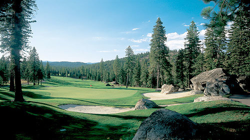 View of the course greens with pine trees forest surrounding the greens 