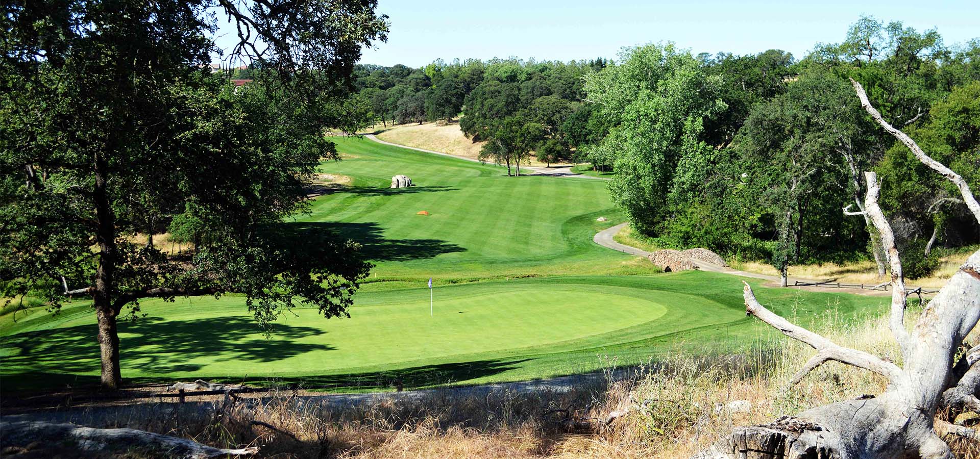 view of golf course green