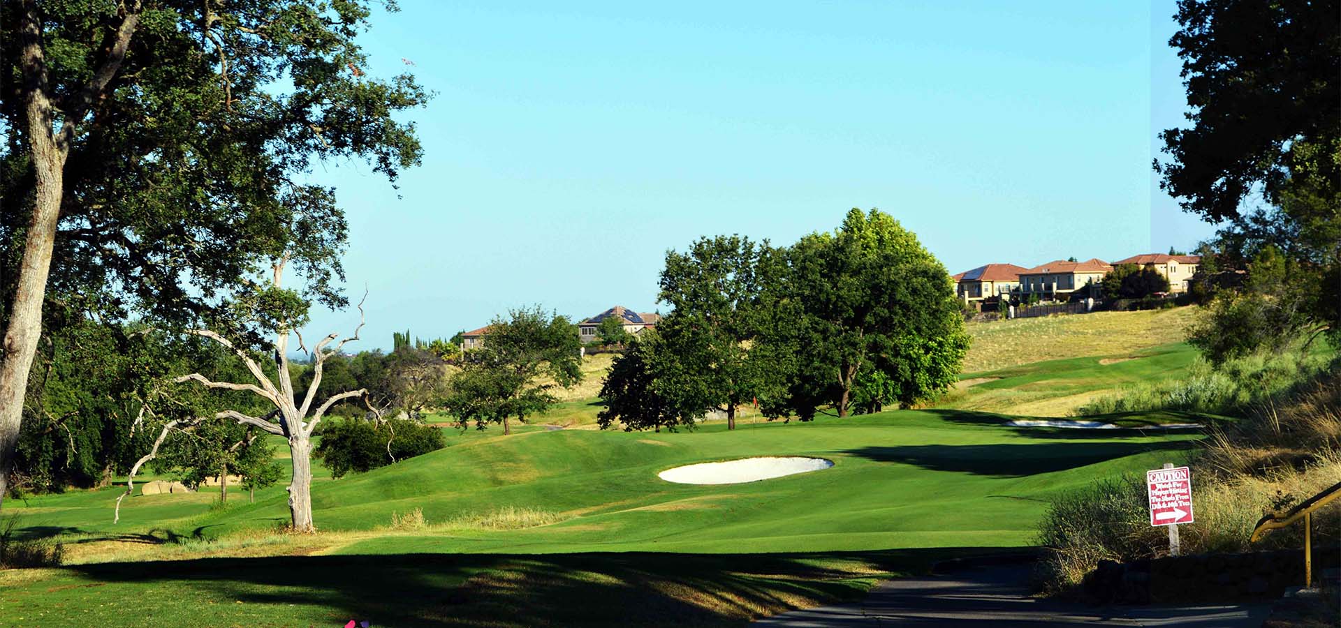 golf course green with sand trap