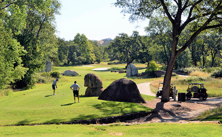 view of golf course green